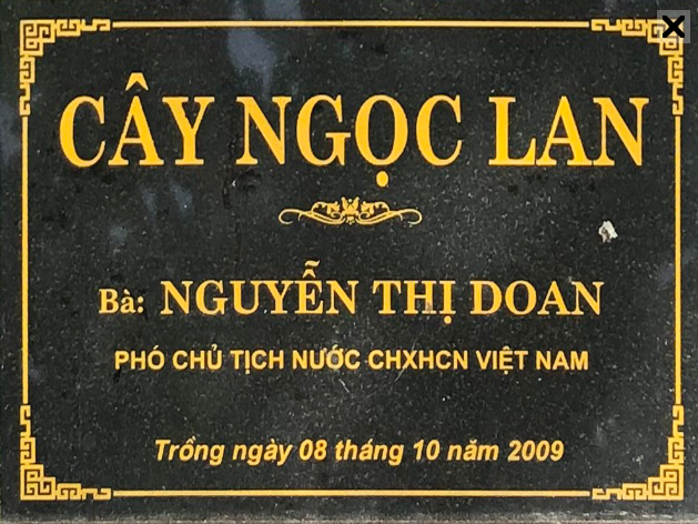 ĐVH.266